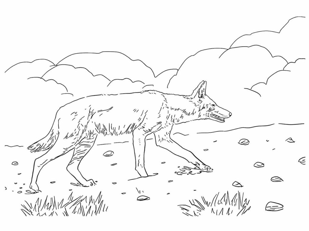 Desenho de lobo para colorir e imprimir, explorando a natureza.