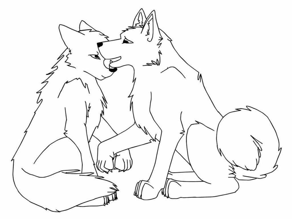 Desenho de dois lobos para colorir.