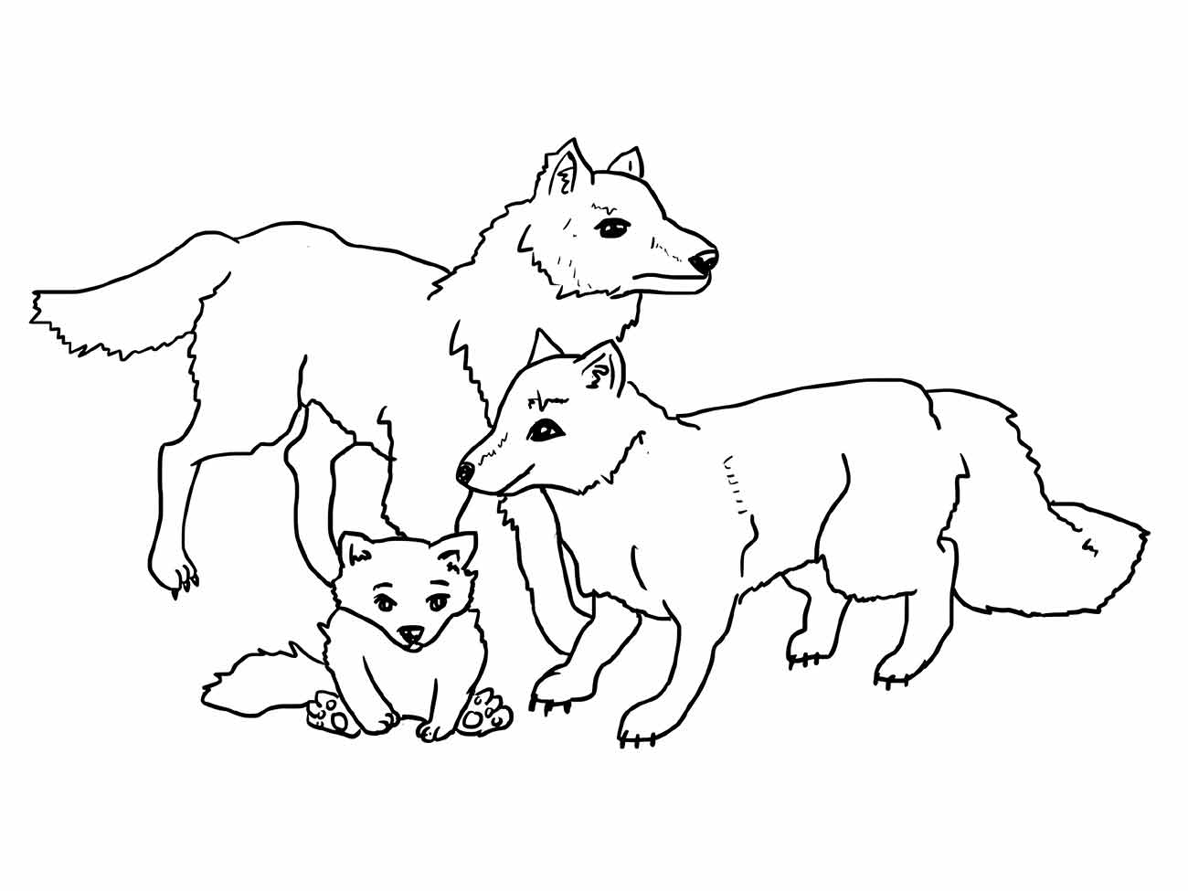 Desenho de uma família de lobos para colorir na educação infantil, .