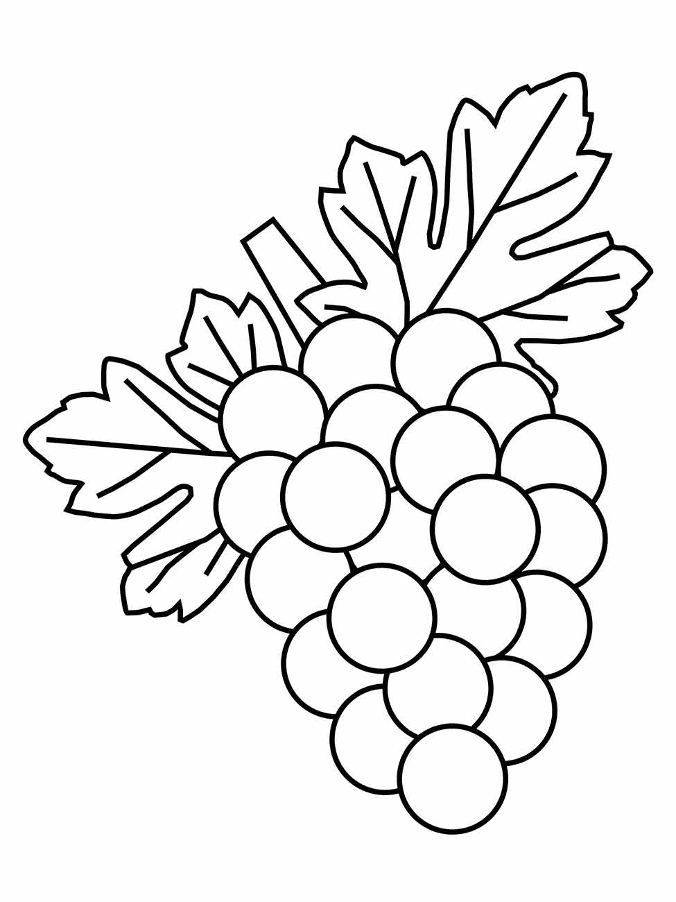 Desenho para colorir de um cacho de uvas com folhas grandes e detalhadas.