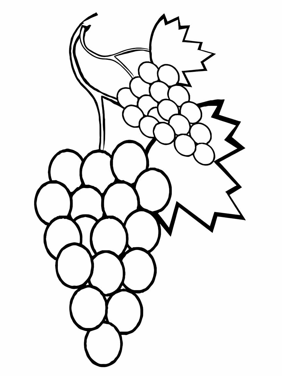 Desenho para colorir de dois cachos de uvas com folhas pontiagudas.