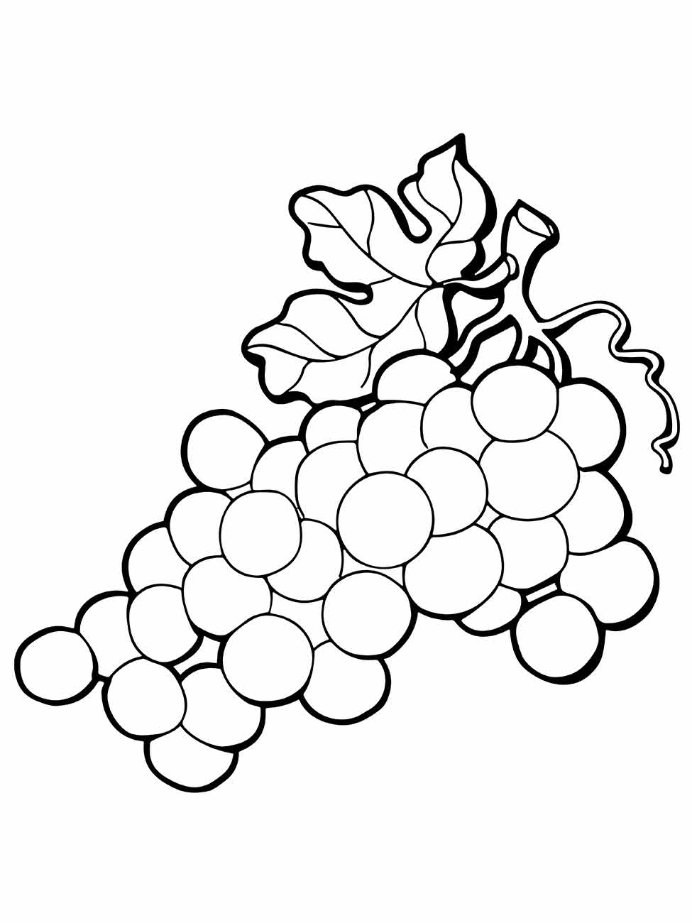 Desenho para colorir de um cacho de uvas com folhas elegantes e enroladas.