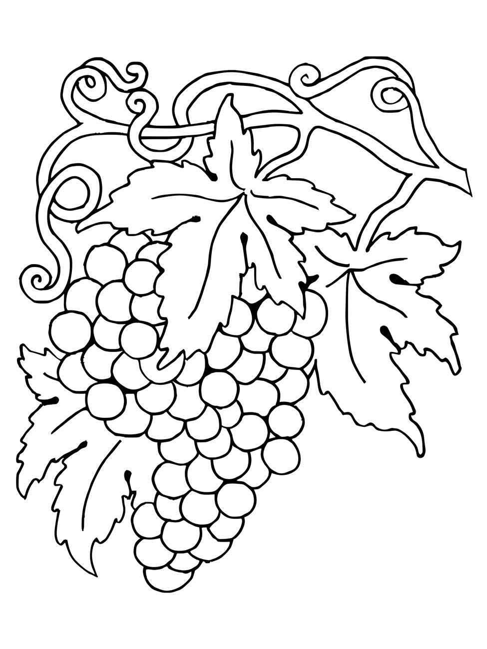 Desenho para colorir de um cacho de uvas com folhas ornamentais e cachos de videira.