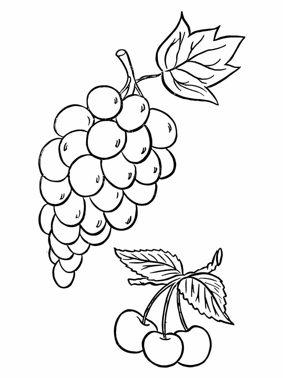 Desenho para colorir de um cacho de uvas densas com uma folha estilizada.