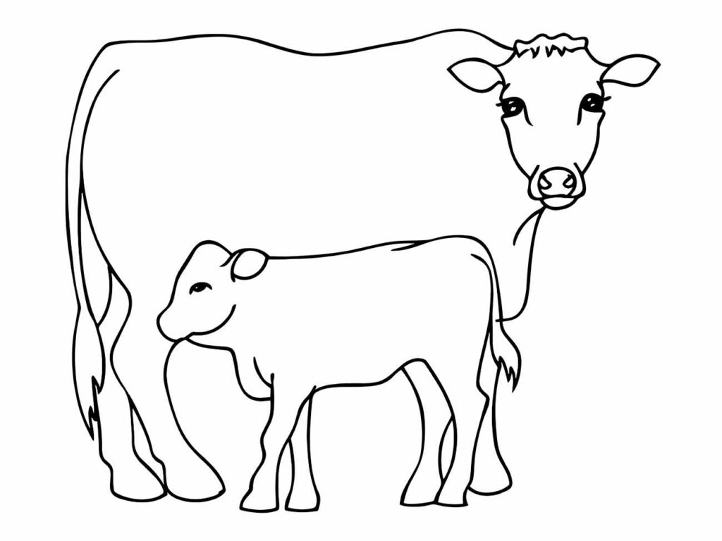 Desenho para colorir de uma vaca e um bezerro, com detalhes realistas e prontos para colorir.