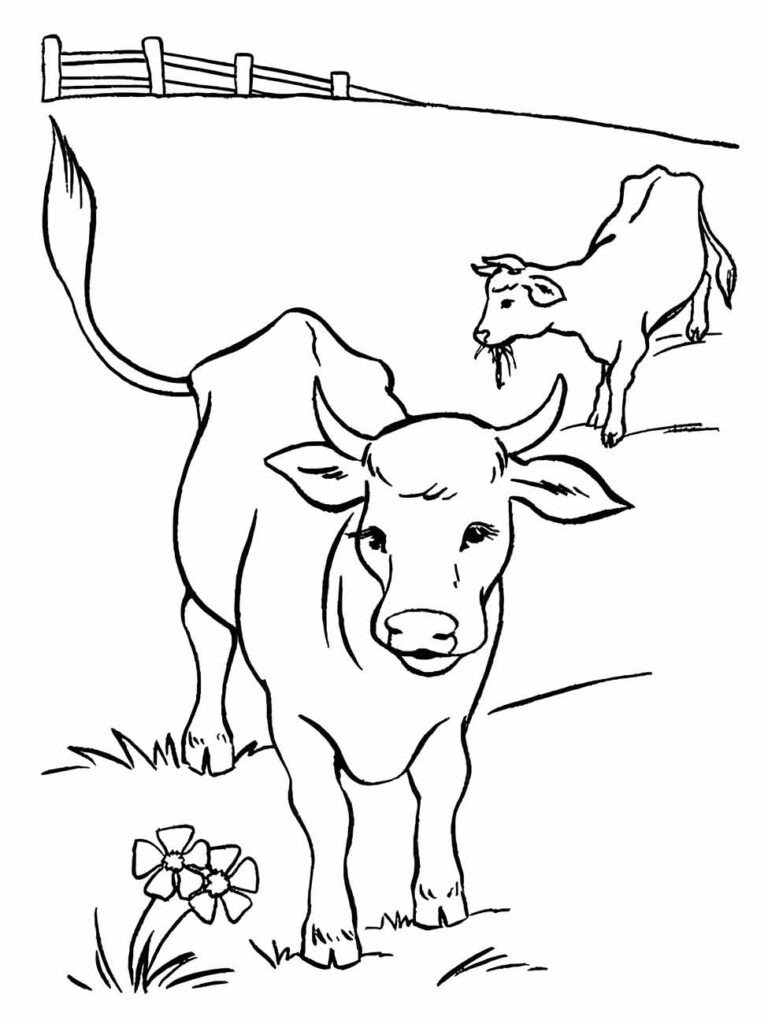 Desenho para colorir de uma vaca e bezerro em um campo com cerca ao fundo.