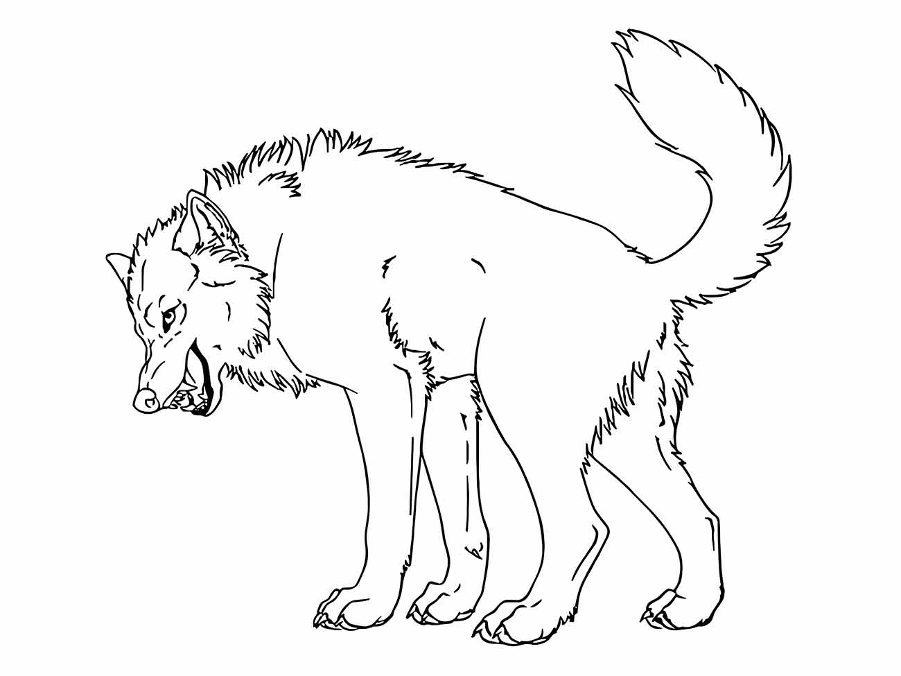 lobo para colorir