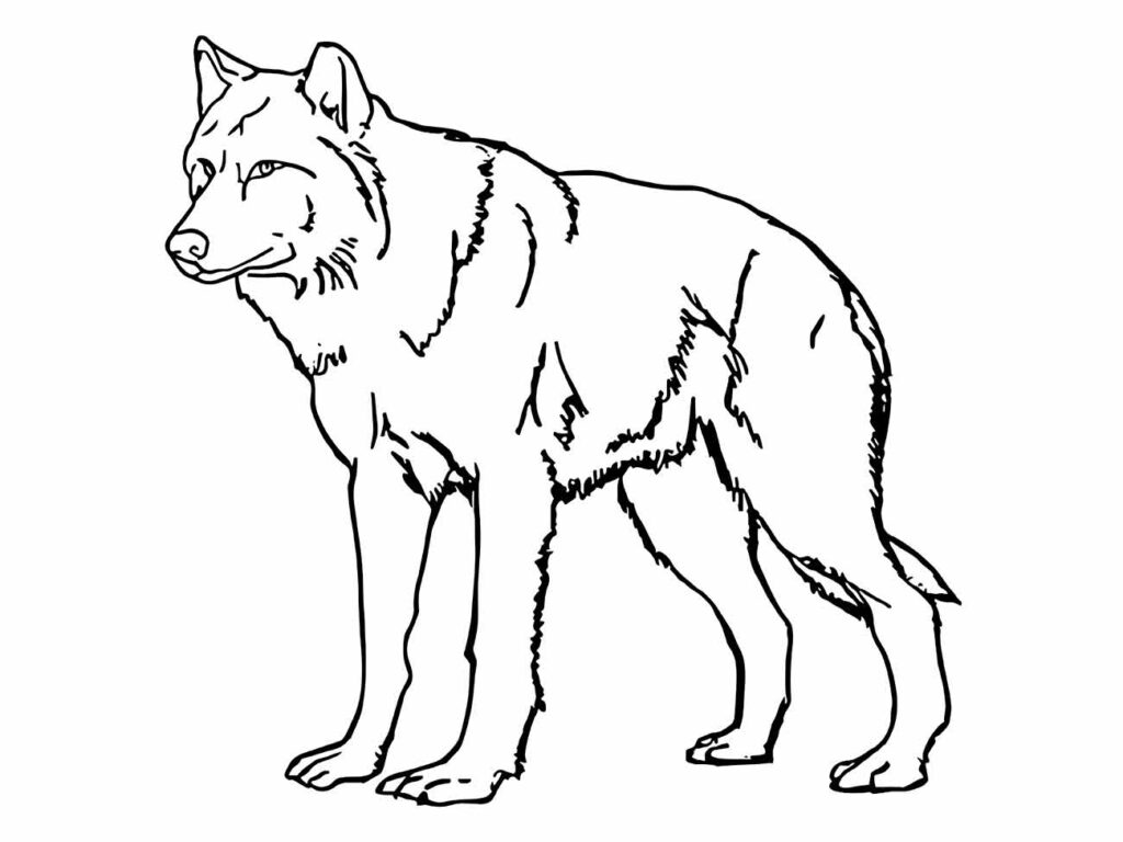 desenho de lobo para colorir fácil