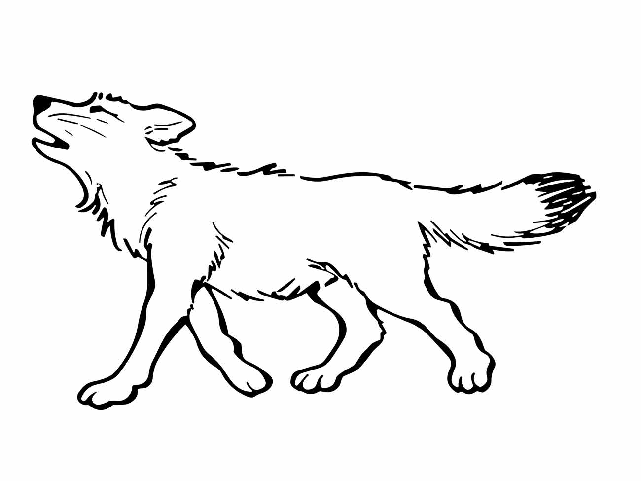 Imagem de um lobo com a cabeça erguida para colorir.