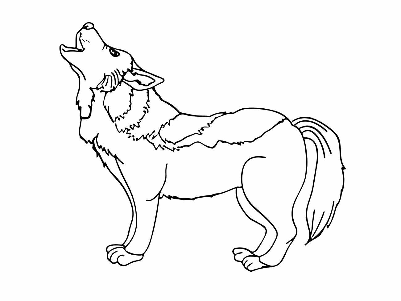 Desenho para colorir de um lobo uivando com a cabeça erguida