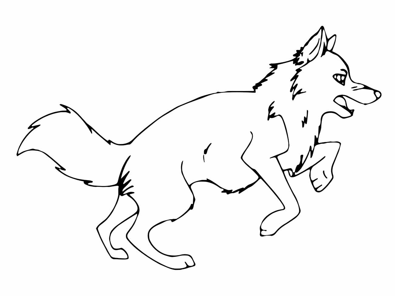 Desenho de lobo em ação, correndo animadamente para colorir.