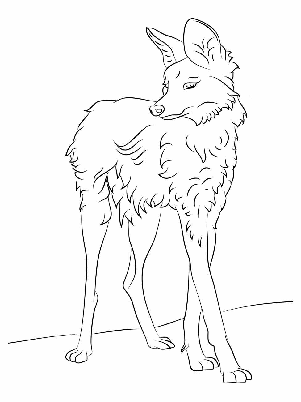 desenho de um lobo guará para colorir