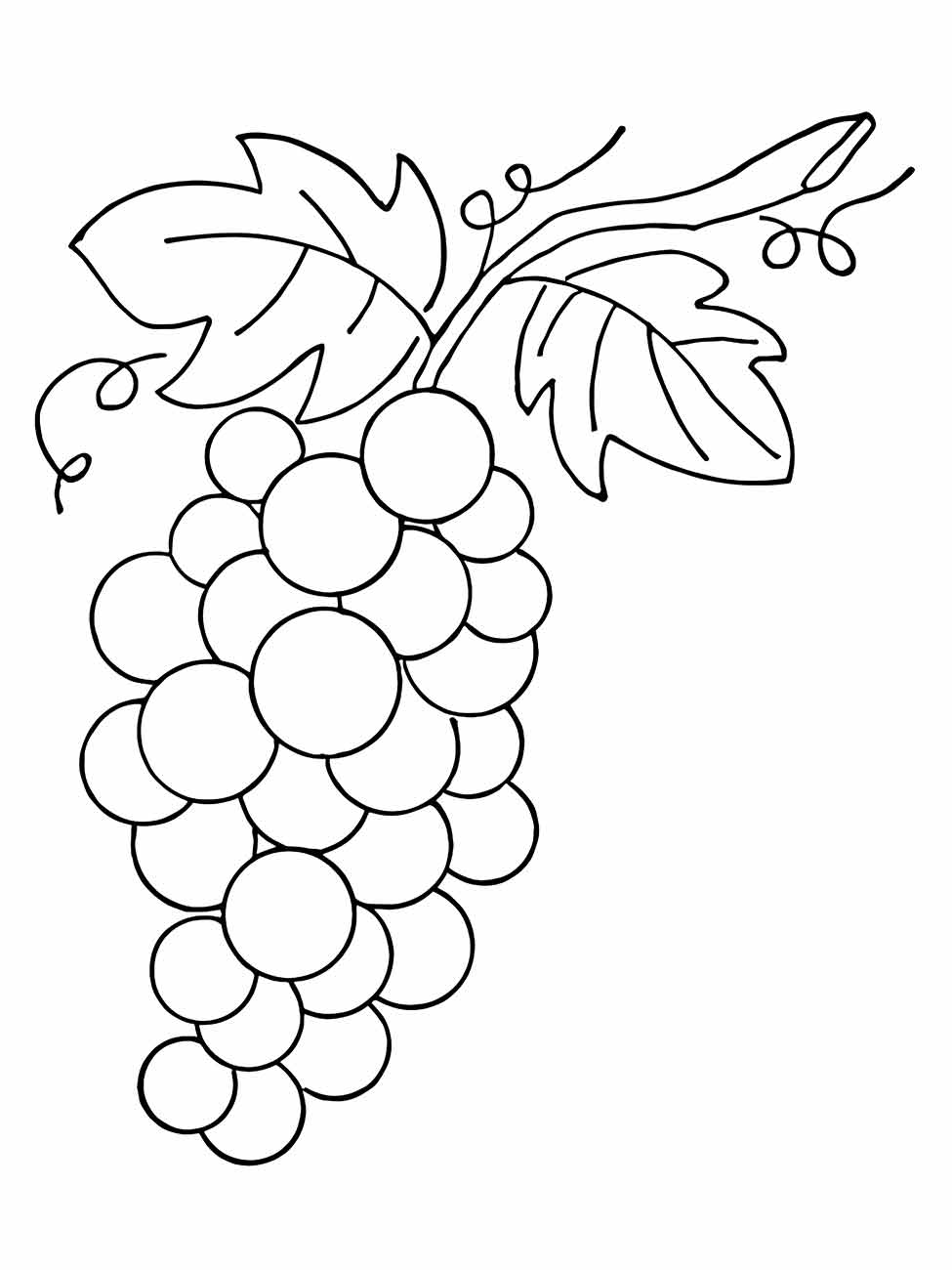 Desenho de uvas para colorir