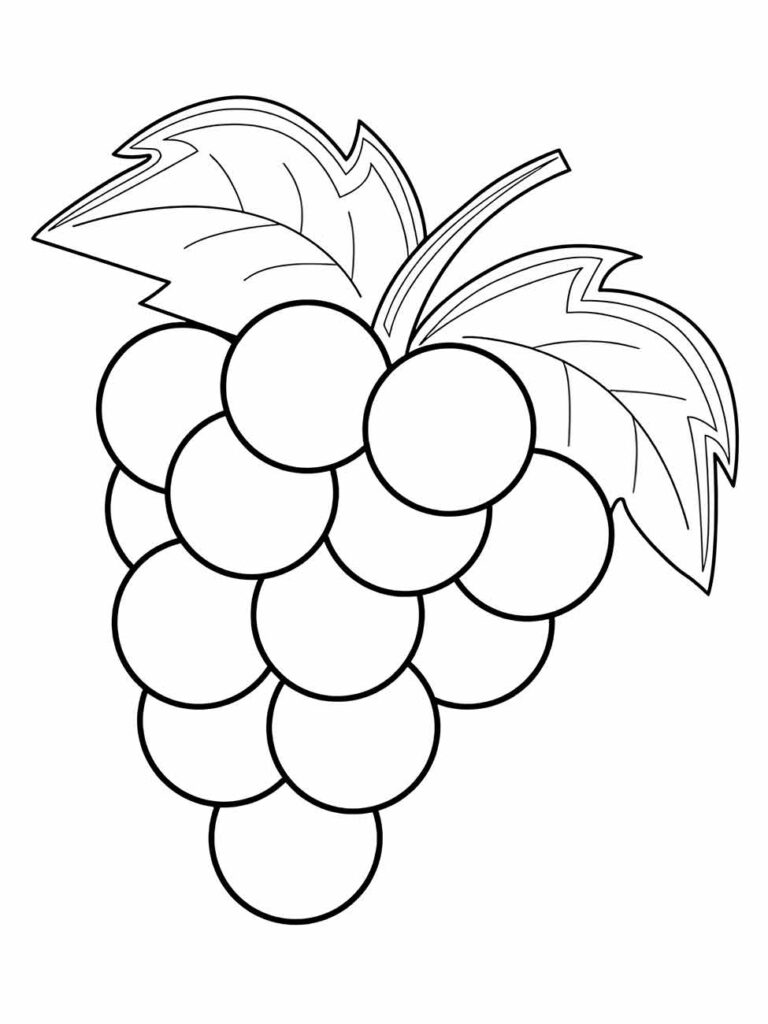 Desenho para imprimir e colorir de um cacho de uvas