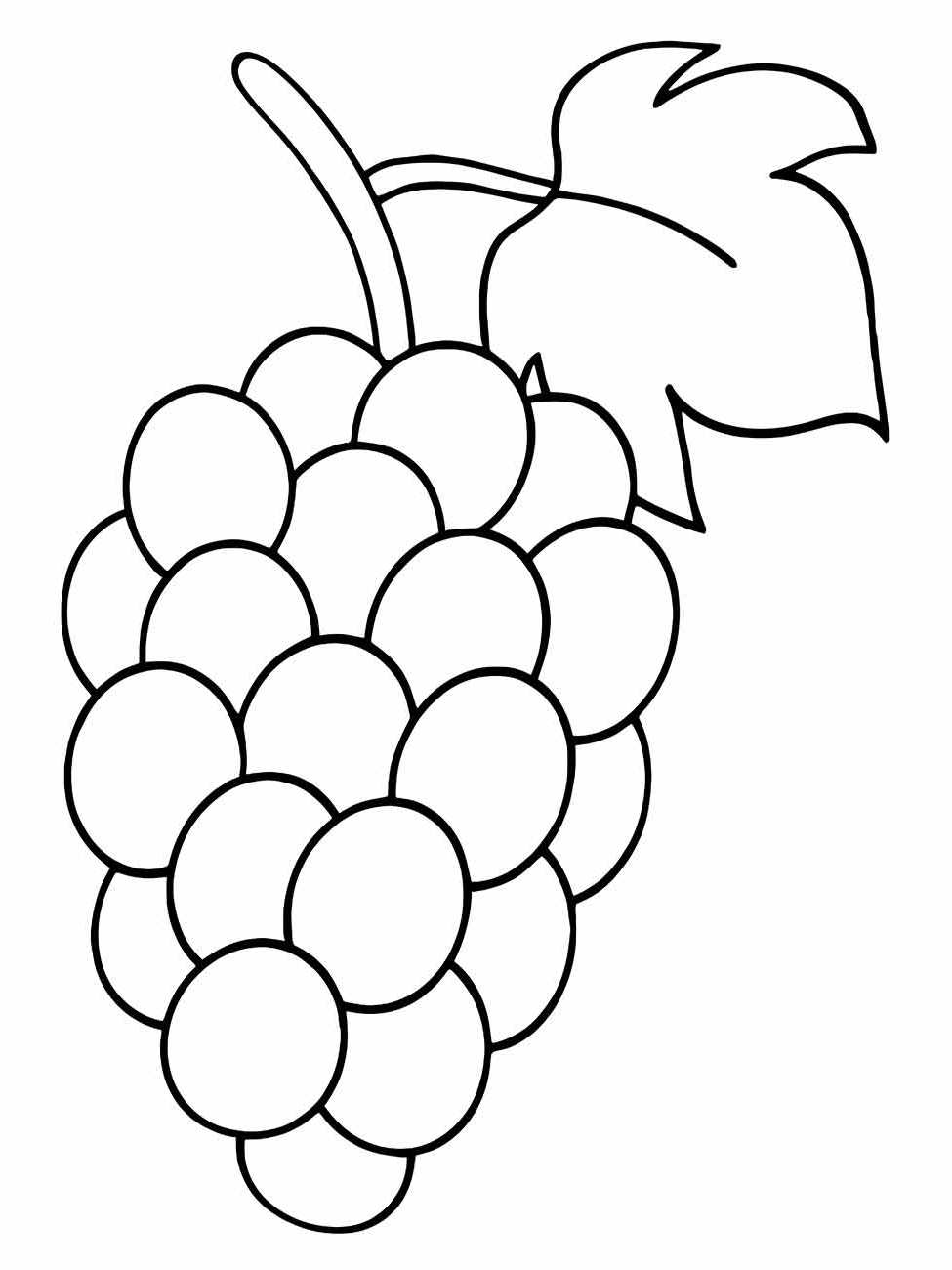 Desenho para pintar e colorir de um cacho de uvas com uma folha grande e simples.