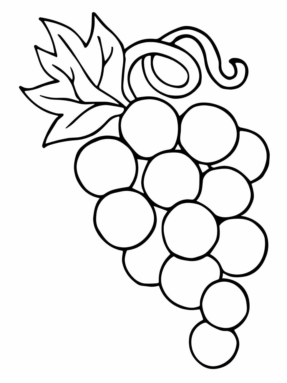 Desenho para pintar e colorir de um cacho de uvas com uma folha e cachos de videira.