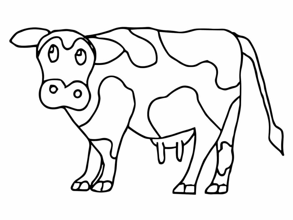 Desenho para colorir de uma vaca simpática com grandes manchas e olhar curioso.