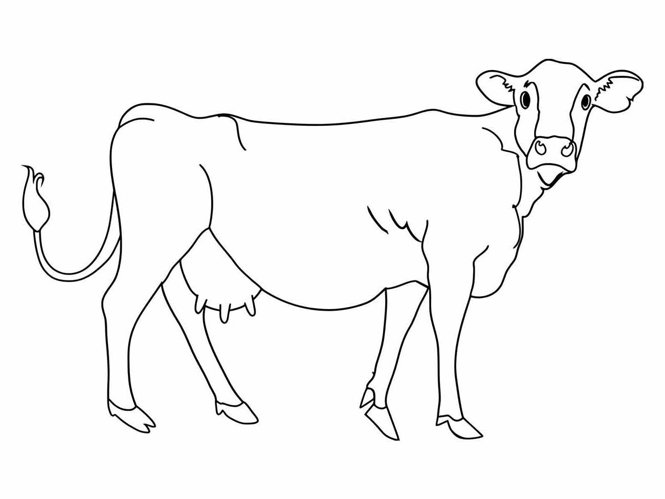 Desenho para colorir de uma vaca de pé com uma expressão curiosa e a cauda levantada.