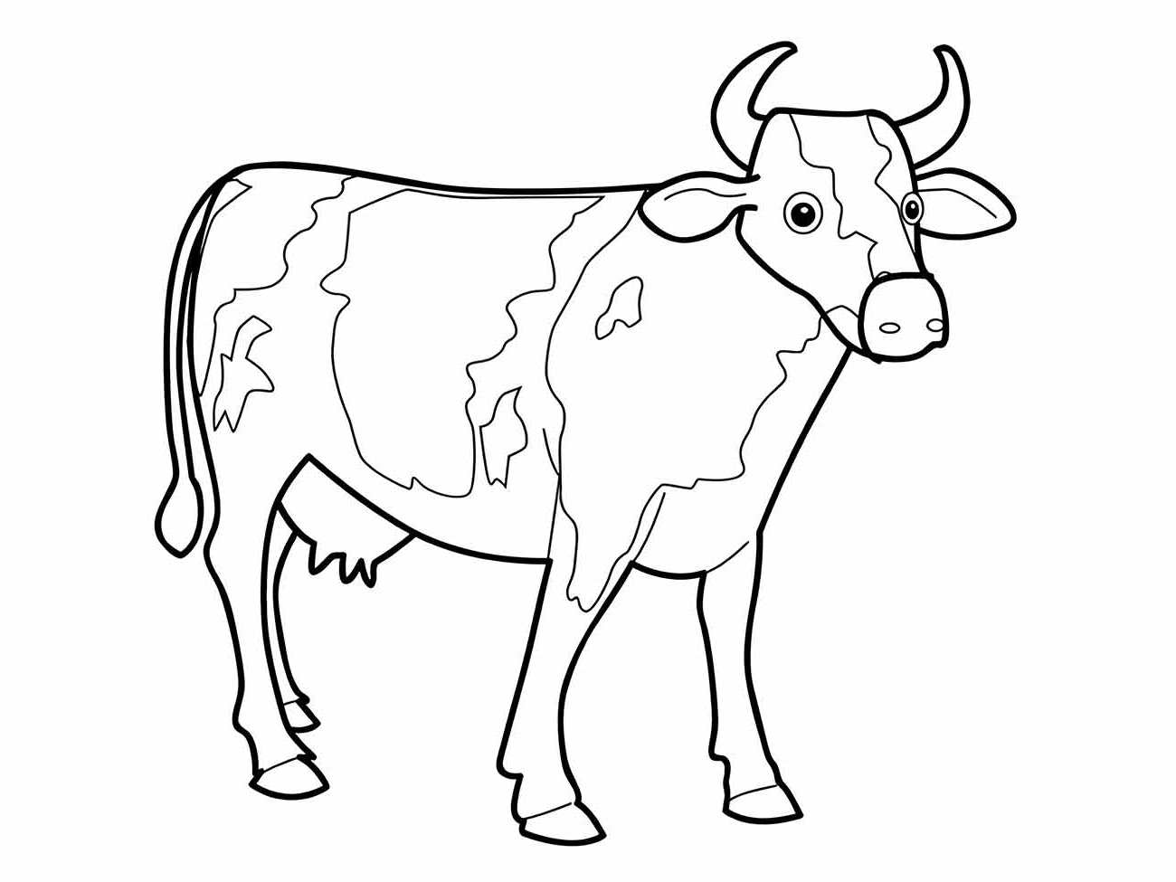 Desenho para colorir de uma vaca calma com manchas irregulares e uma expressão serena.