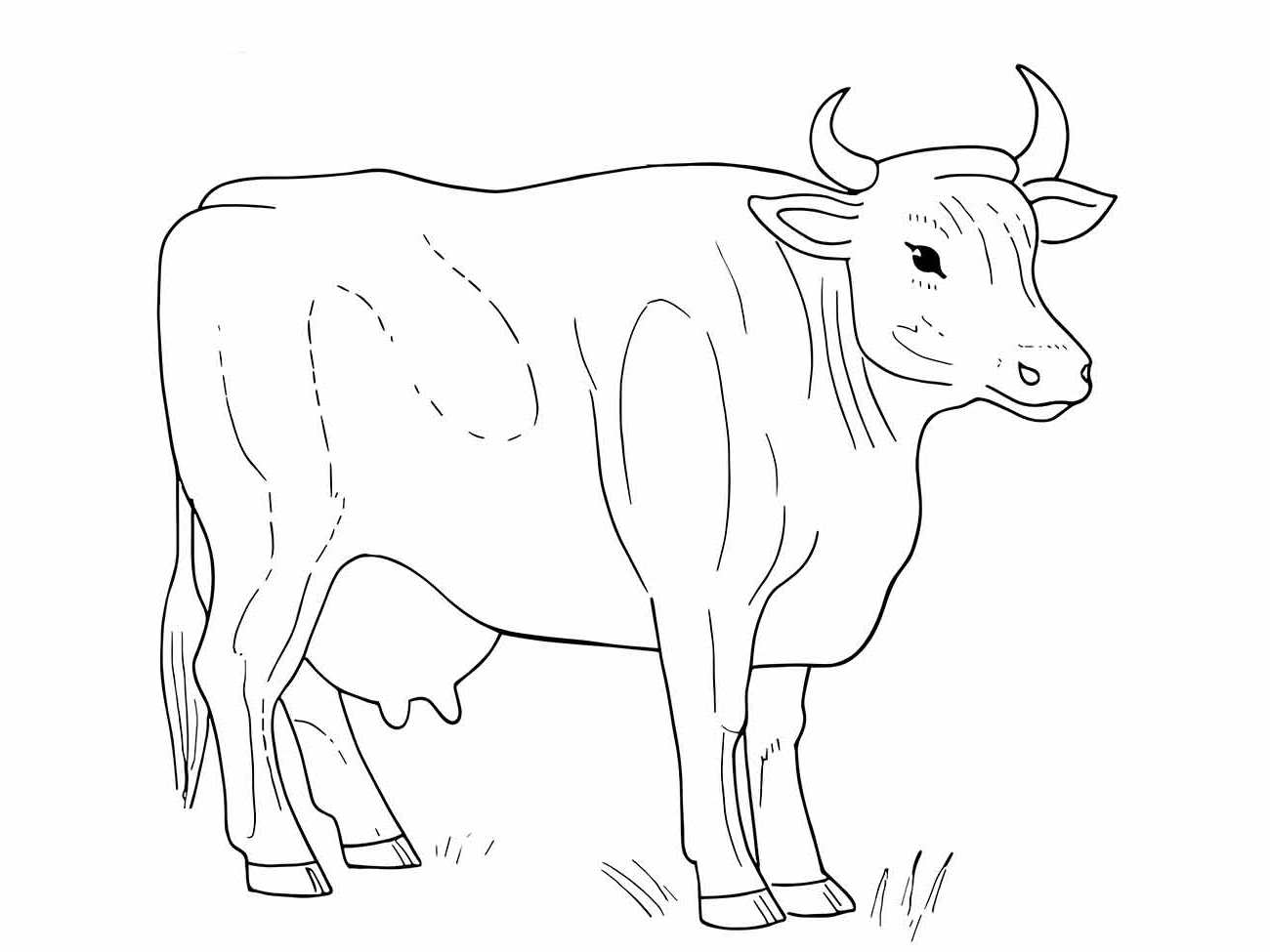 Desenho realista de perfil de uma vaca para colorir.