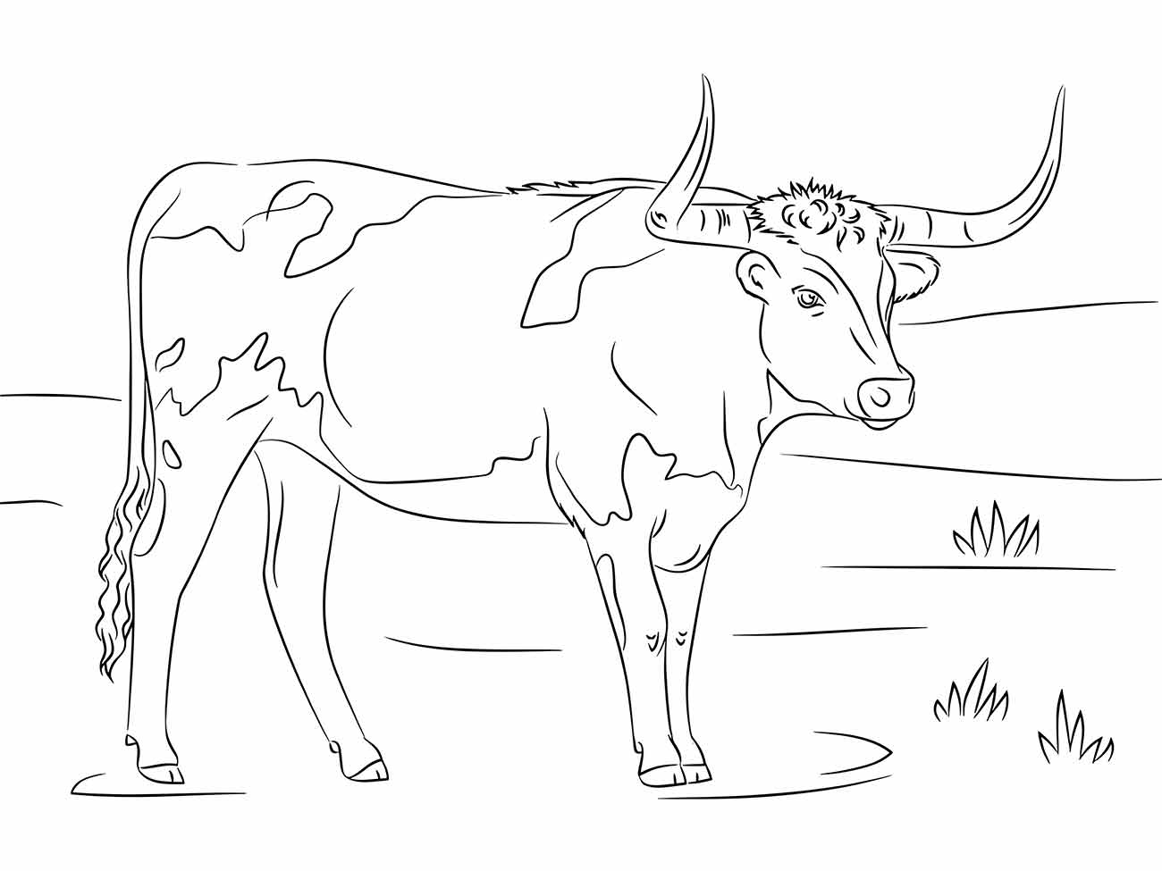 Desenho de vaca com grandes chifres para colorir, em um cenário de campo.