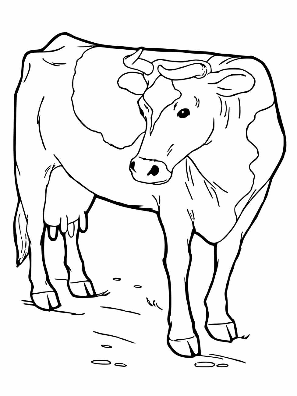 Desenho para colorir de uma vaca caminhando com manchas grandes e chifres proeminentes.