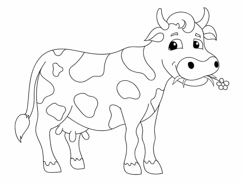 Desenho para colorir de uma vaca contente mastigando flores com manchas grandes e chifres curvados.