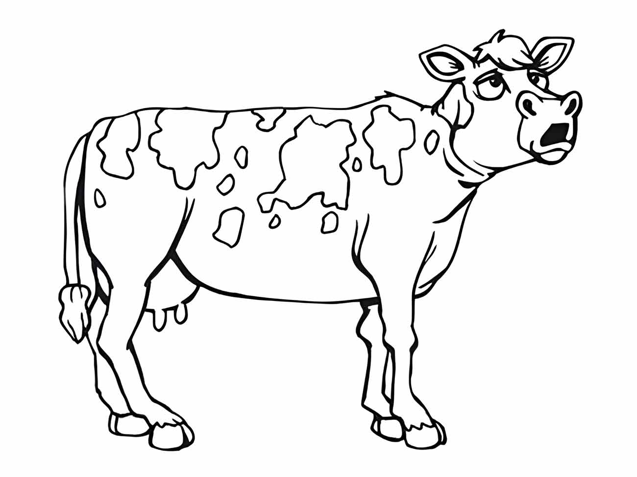 Desenho para colorir de uma vaca com manchas grandes, olhando para cima.