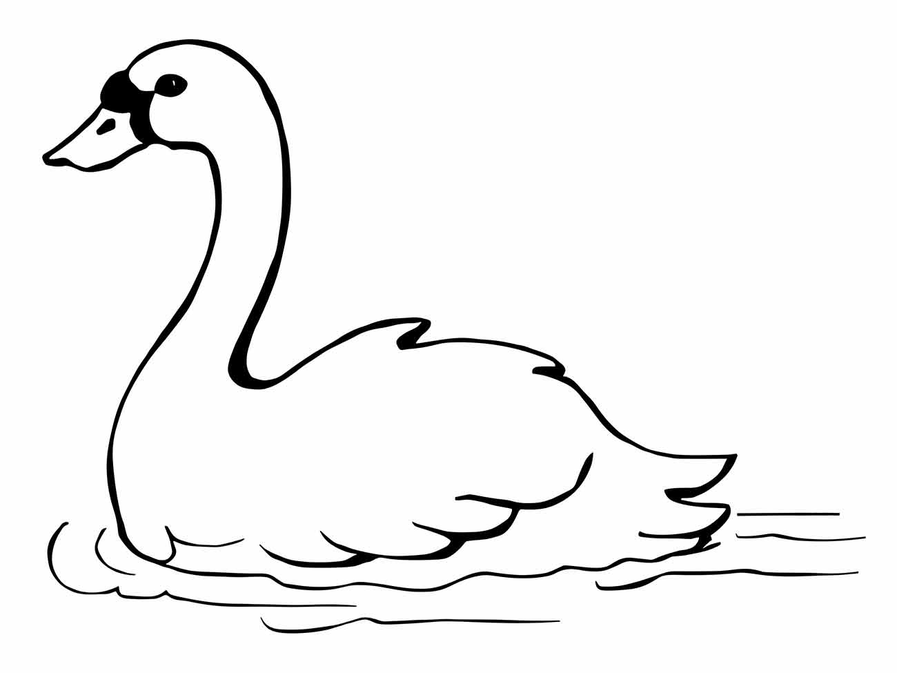 Imagem de um cisne para desenhar flutuando na água, com pescoço curvado.