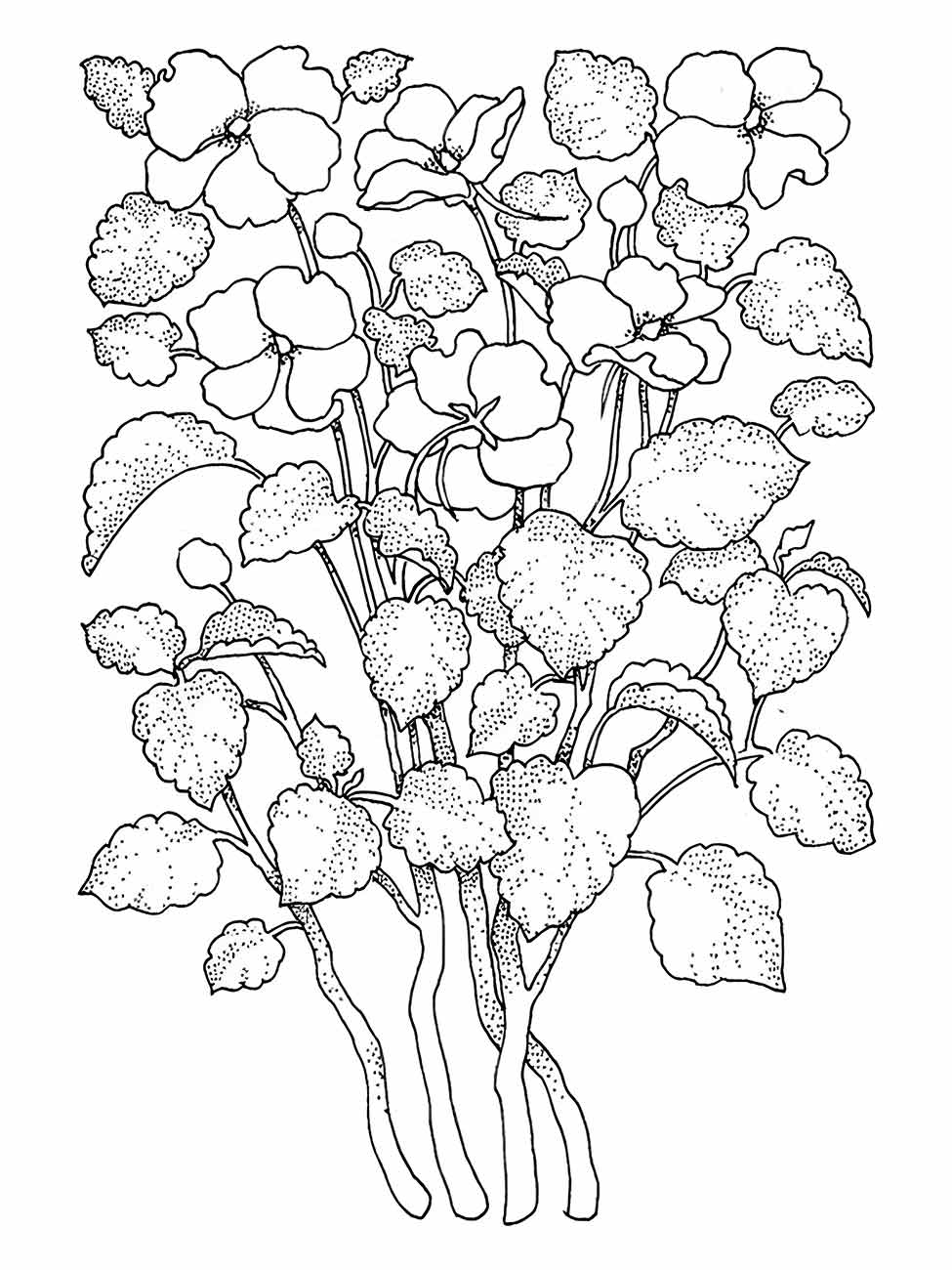 Desenho para desenhar de um arranjo robusto de flores campestres com texturas variadas.