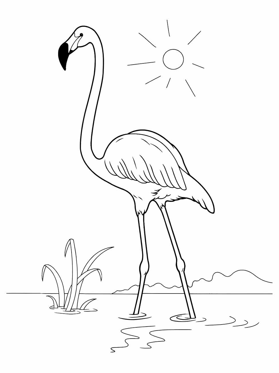 Flamingo em pé, ideal para desenhar