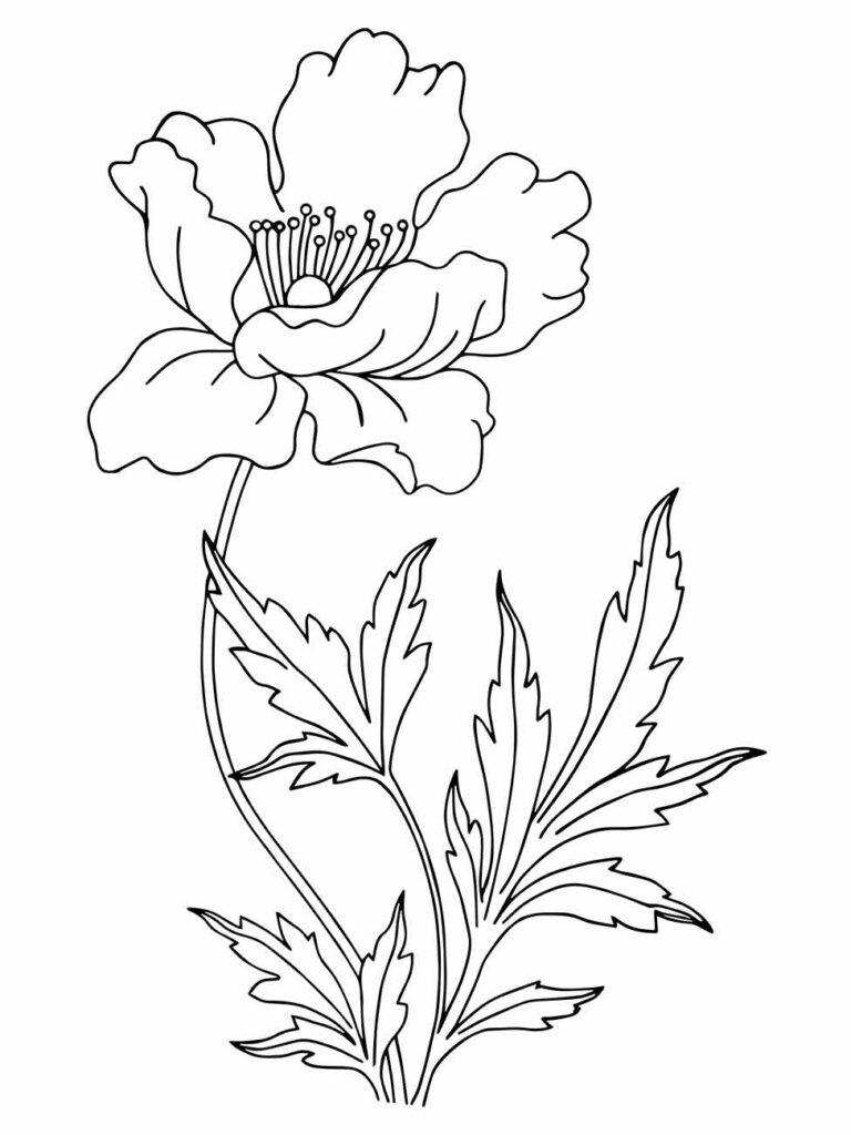 Desenho de uma flor única estilizada para desenhar com folhas grandes e centro destacado.