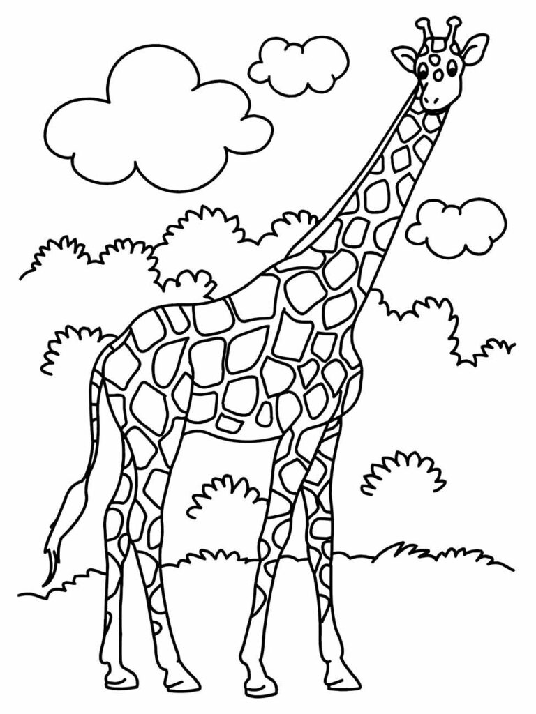 Desenho de uma girafa em um cenário ao ar livre para desenhar em grupo.