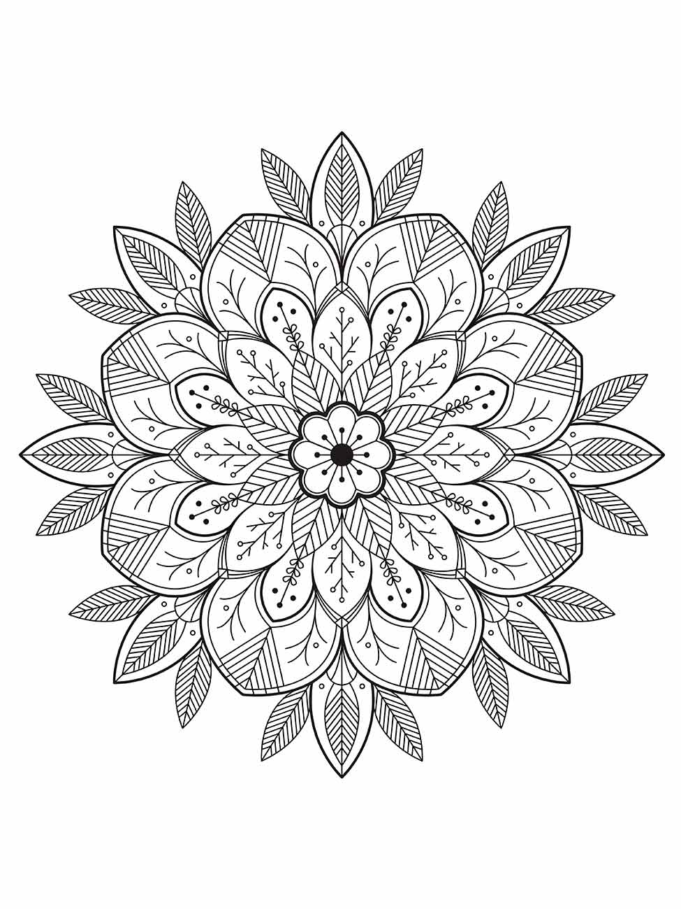 Desenho para desenhar de mandala com folhas e flores simétricas, detalhes finos.