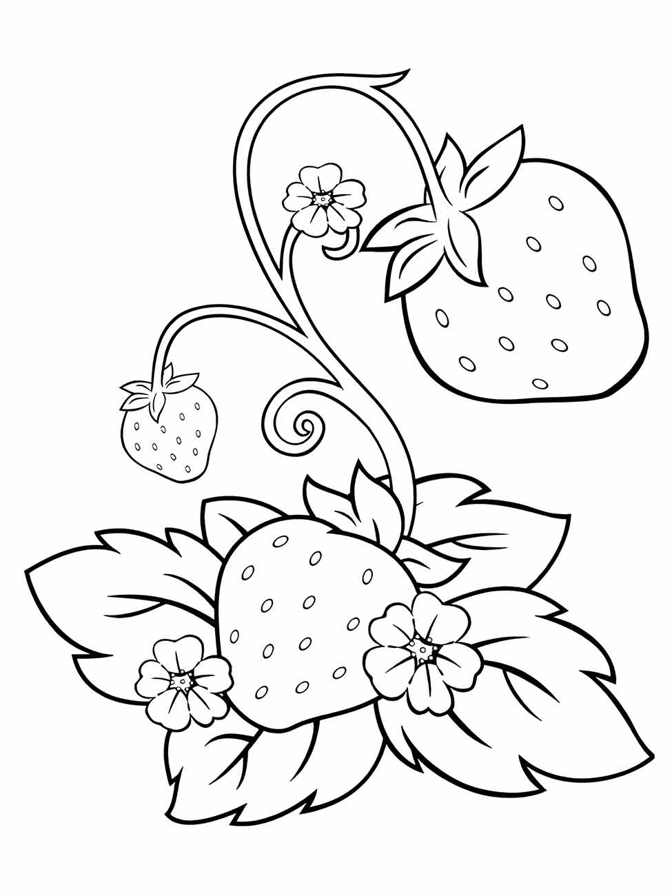 Desenho de morango com flores para desenhar