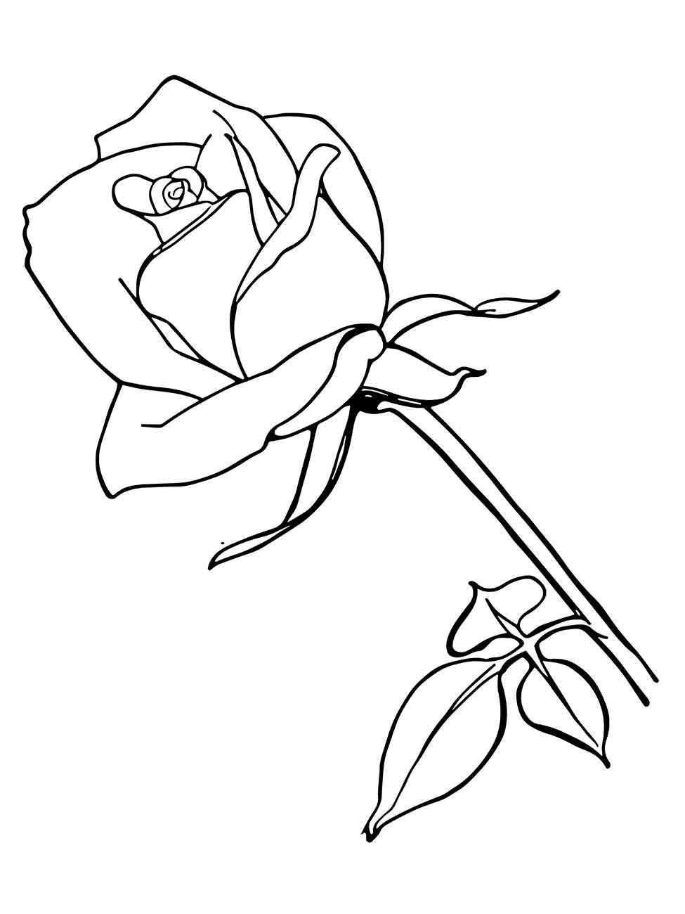 Desenho de uma rosa elegante em perfil para desenhar com folhas ao lado.