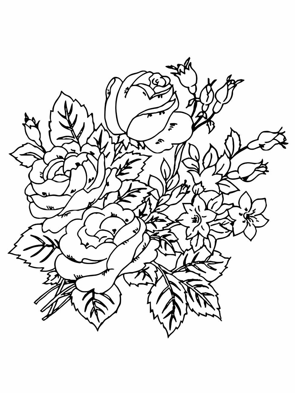 Desenho para desenhar de um buquê de rosas em diferentes estágios de floração.