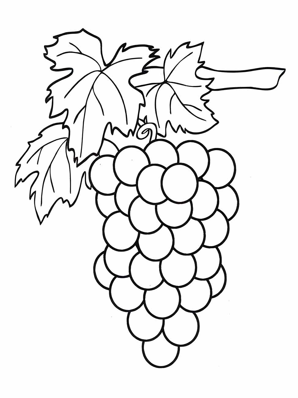 desenho para desenhar de um cacho de uvas com folhas.