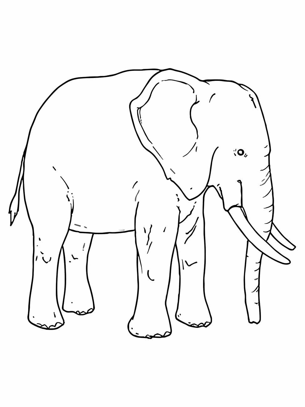 Imagem para desenhar de um elefante de lado com textura na pele e presas longas, em estilo de contorno.