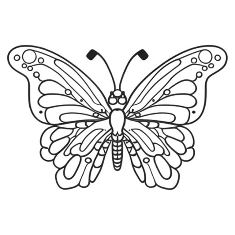 Image of an Atlas butterfly to be colored or painted