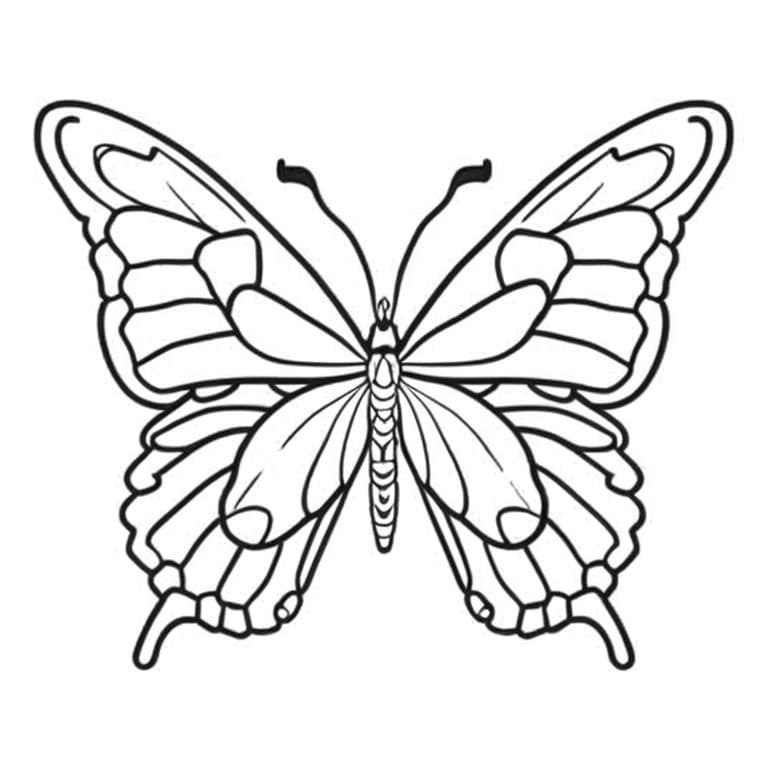 Image of a Blue Morpho Menelaus butterfly to be colored or painted