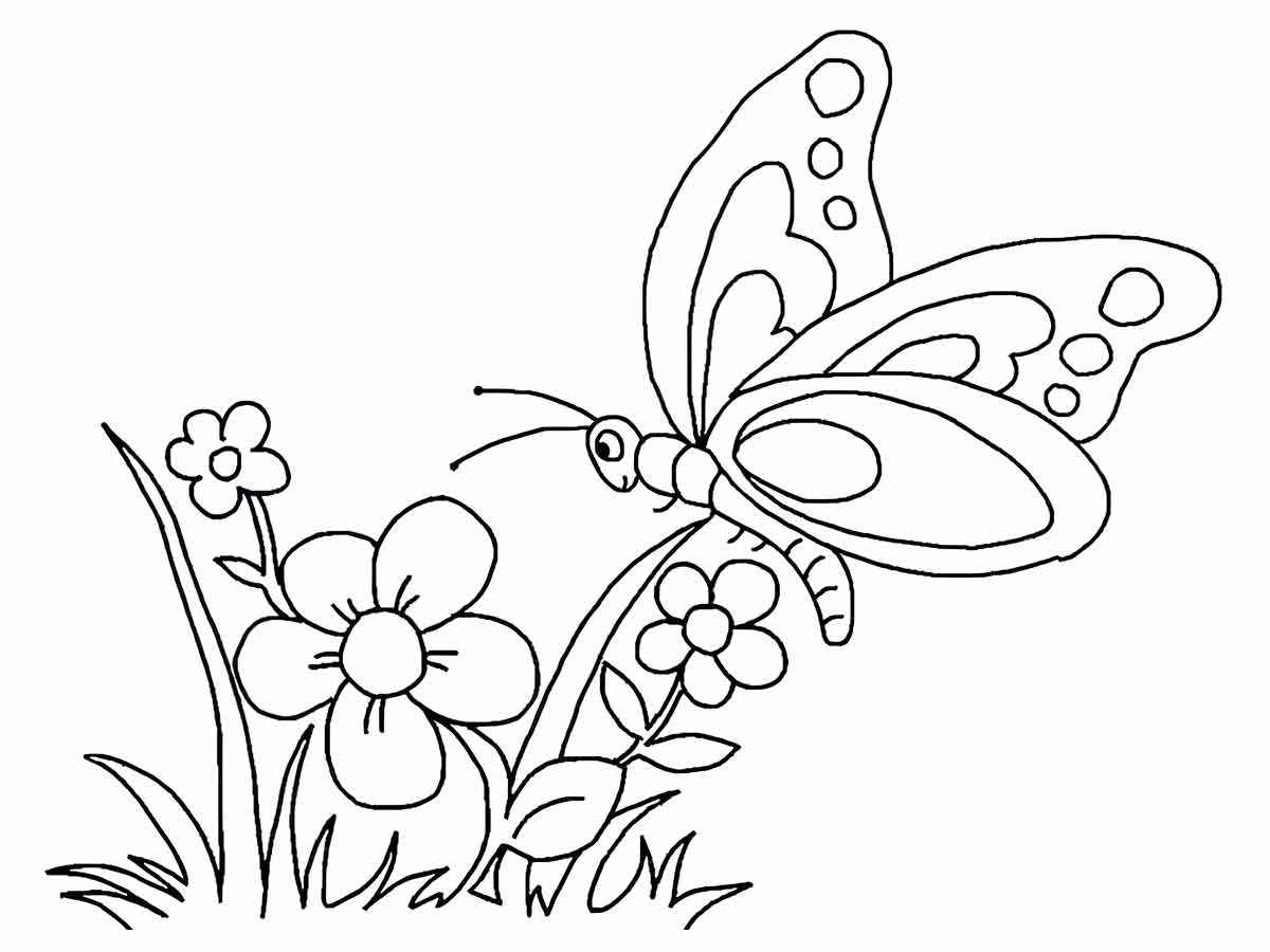 Butterfly and flower painting drawing