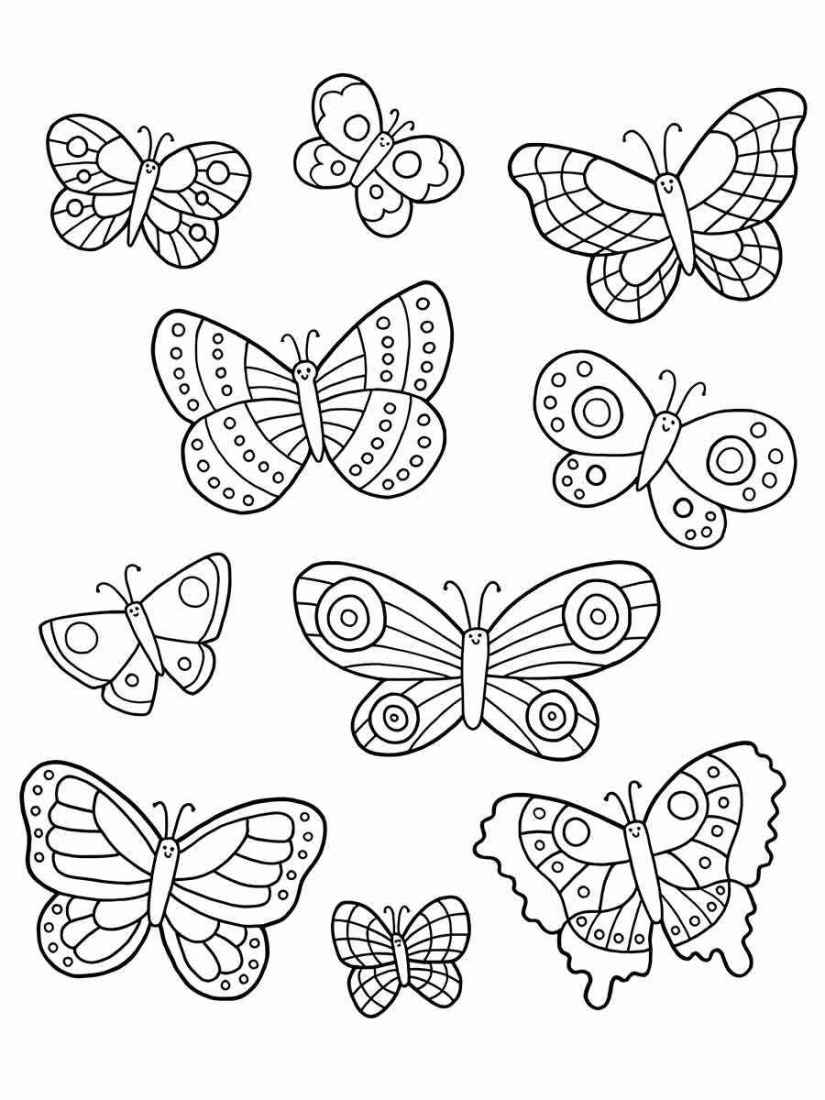 Butterfly painting drawings