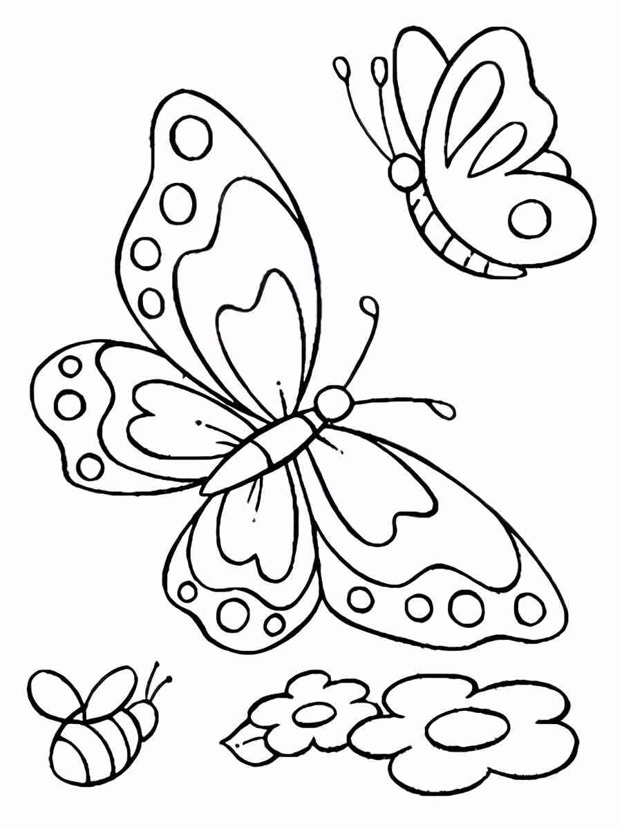 Butterfly coloring drawings 34