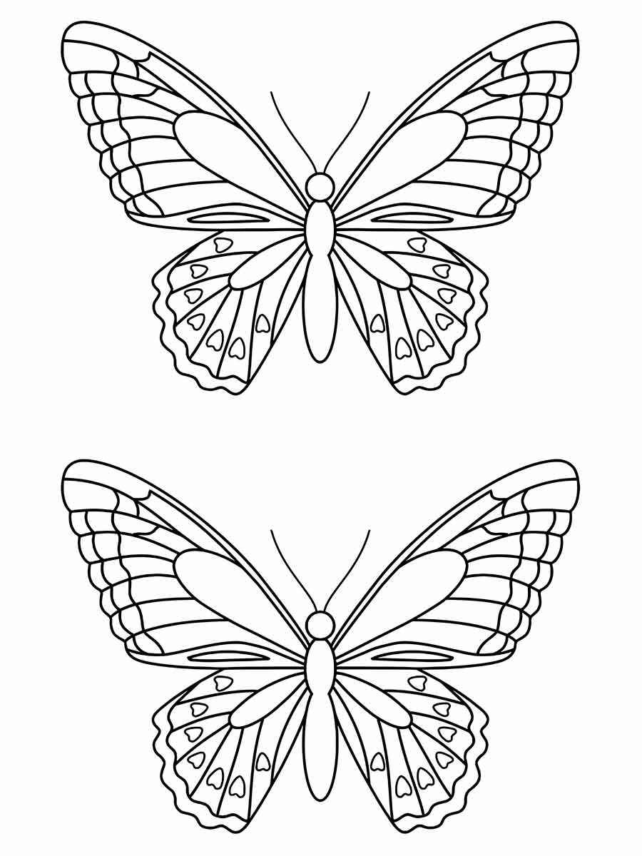 Butterfly coloring and painting drawings