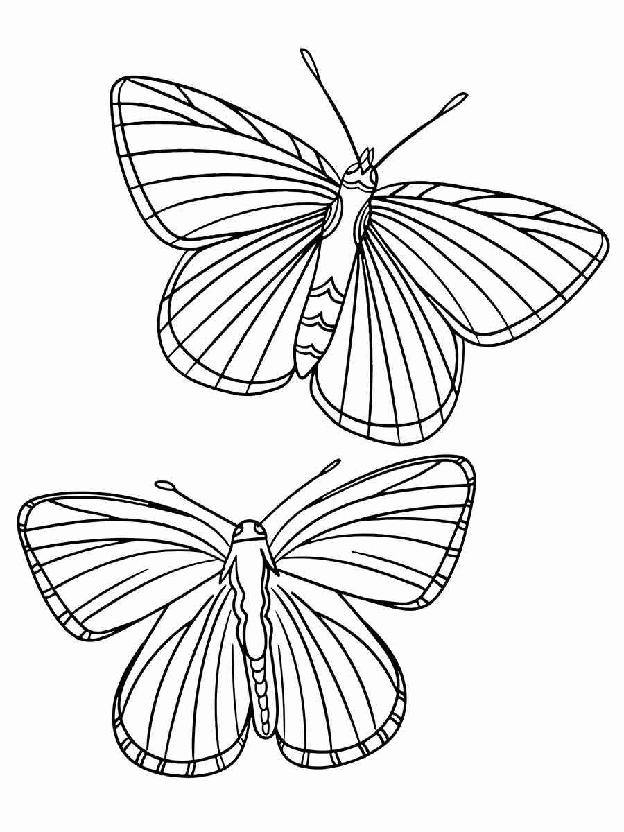 Butterfly coloring drawings 40