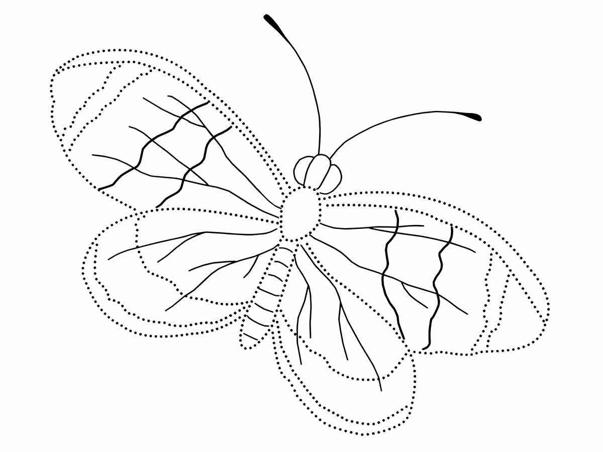 Educational butterfly coloring drawing