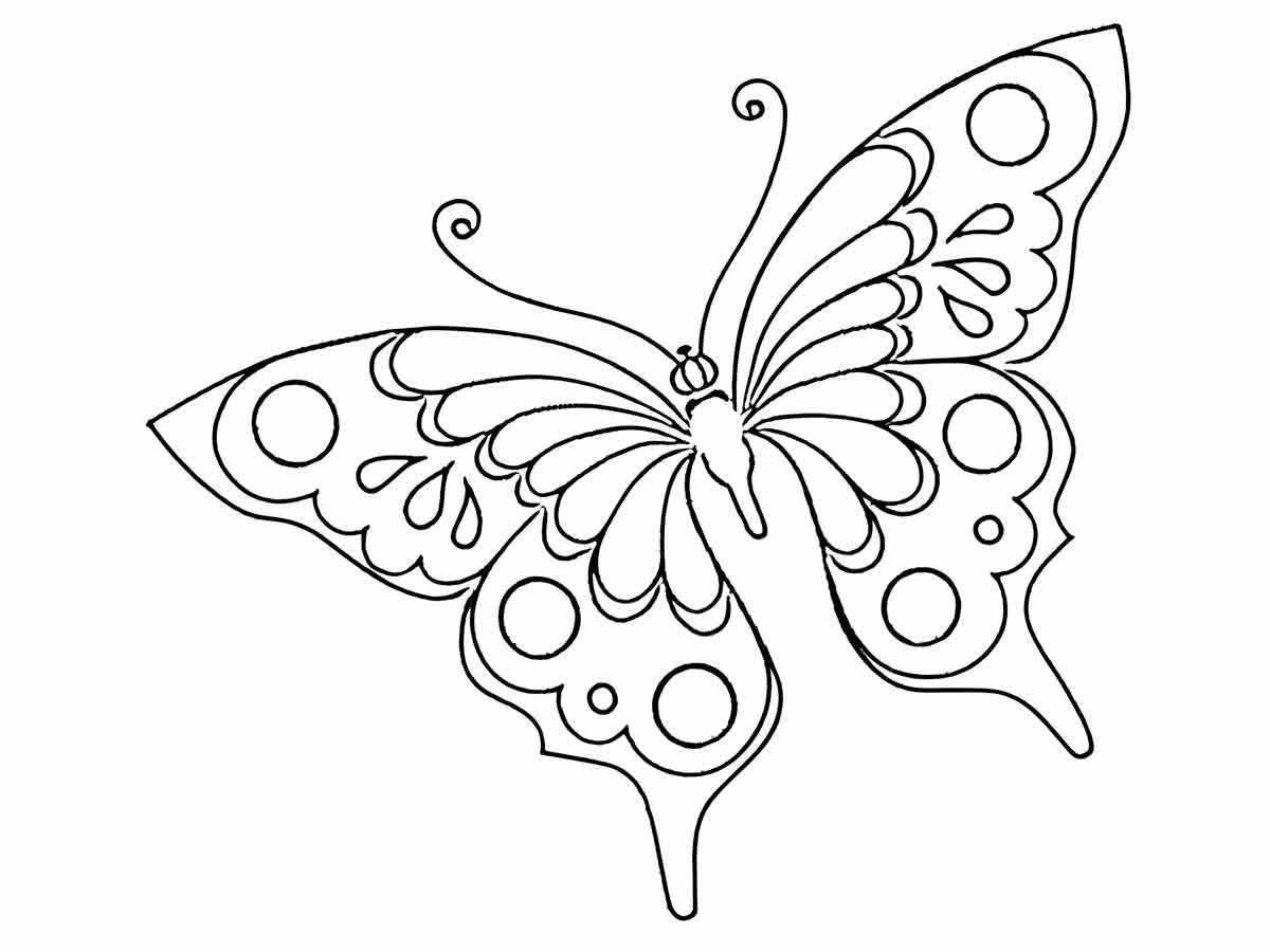 Butterfly coloring drawing 55