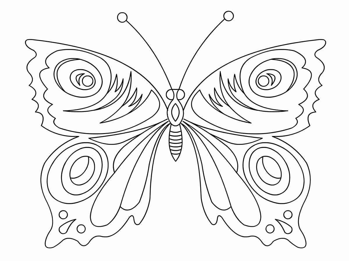 Butterfly coloring drawing 60