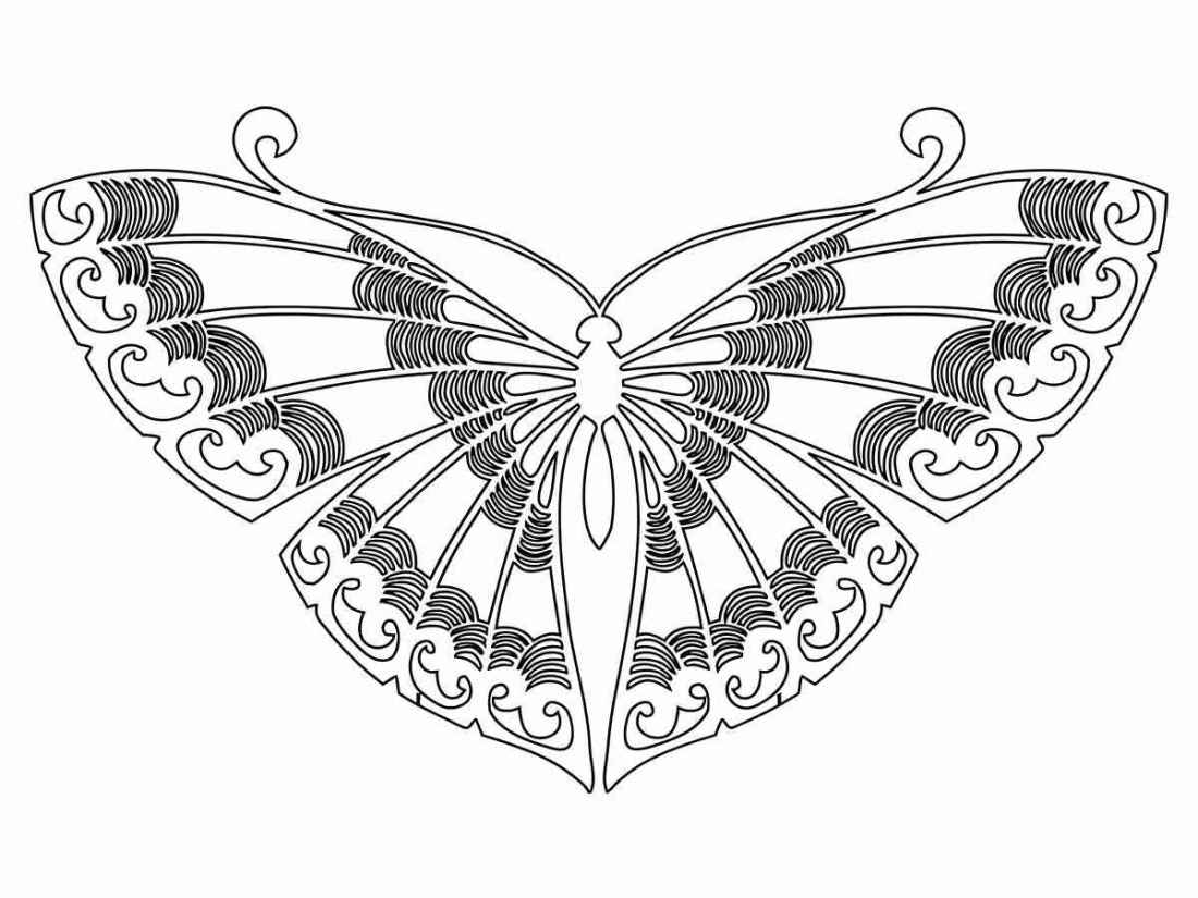 Butterfly coloring drawing 62